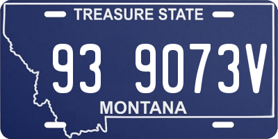 MT license plate 939073V