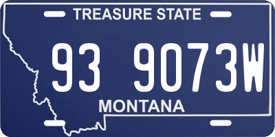 MT license plate 939073W