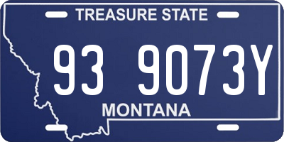 MT license plate 939073Y