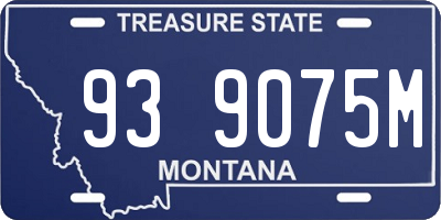 MT license plate 939075M