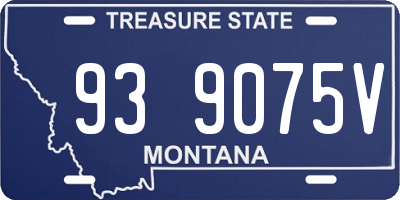 MT license plate 939075V