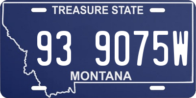MT license plate 939075W