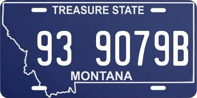 MT license plate 939079B