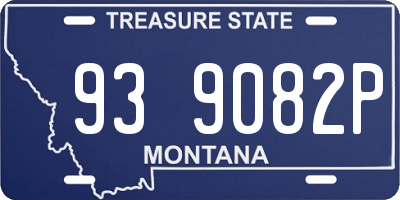 MT license plate 939082P