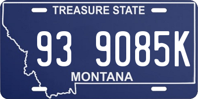 MT license plate 939085K