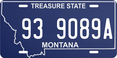MT license plate 939089A