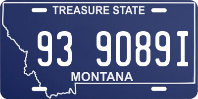 MT license plate 939089I