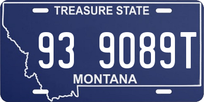 MT license plate 939089T
