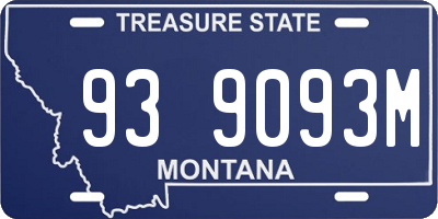 MT license plate 939093M