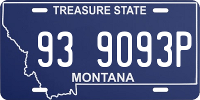 MT license plate 939093P