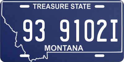 MT license plate 939102I