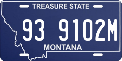 MT license plate 939102M