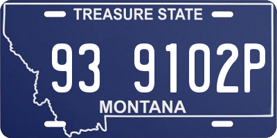 MT license plate 939102P