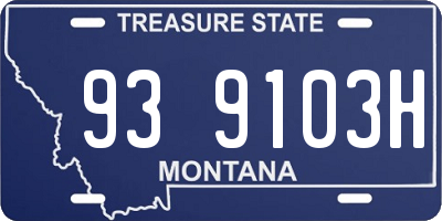 MT license plate 939103H