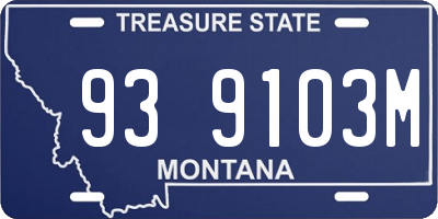 MT license plate 939103M