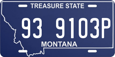 MT license plate 939103P