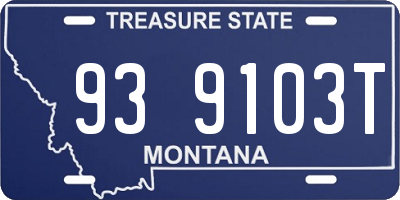MT license plate 939103T