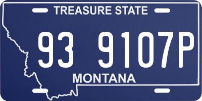 MT license plate 939107P