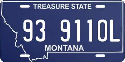 MT license plate 939110L
