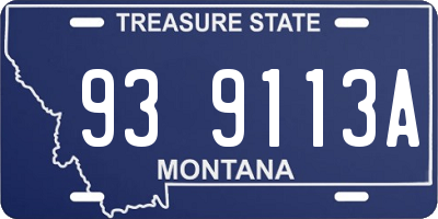 MT license plate 939113A