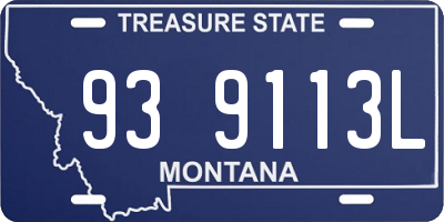 MT license plate 939113L