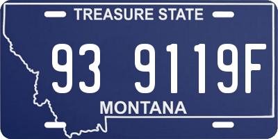 MT license plate 939119F