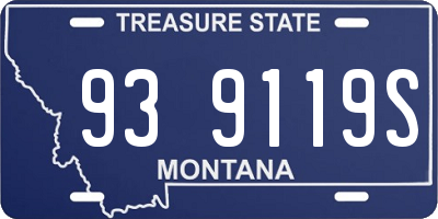 MT license plate 939119S