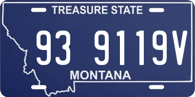 MT license plate 939119V