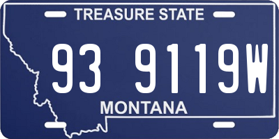 MT license plate 939119W