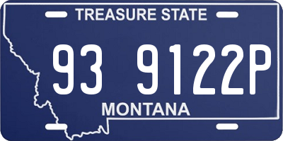 MT license plate 939122P