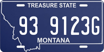 MT license plate 939123G