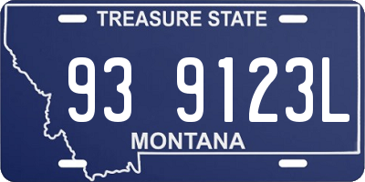MT license plate 939123L