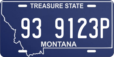 MT license plate 939123P