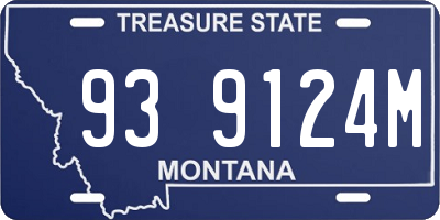 MT license plate 939124M