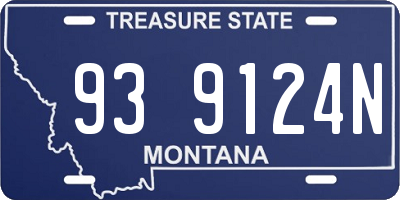 MT license plate 939124N