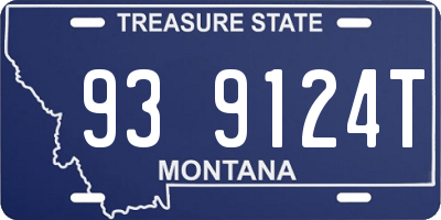 MT license plate 939124T