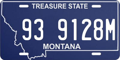 MT license plate 939128M