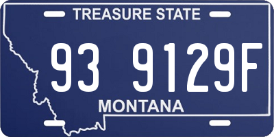 MT license plate 939129F