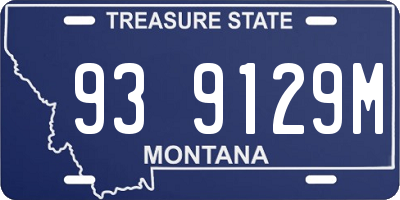 MT license plate 939129M