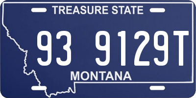 MT license plate 939129T
