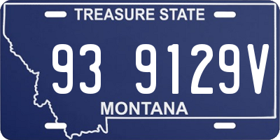 MT license plate 939129V