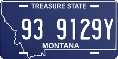 MT license plate 939129Y