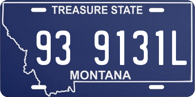 MT license plate 939131L