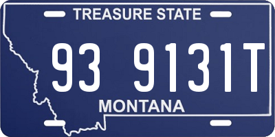 MT license plate 939131T