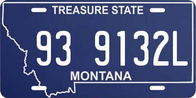MT license plate 939132L