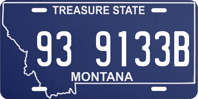 MT license plate 939133B