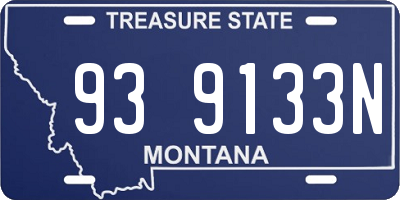 MT license plate 939133N