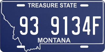 MT license plate 939134F