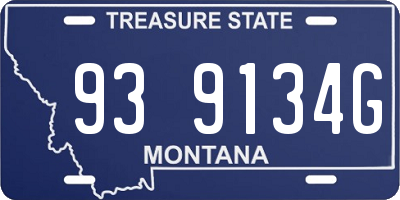 MT license plate 939134G