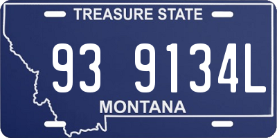 MT license plate 939134L